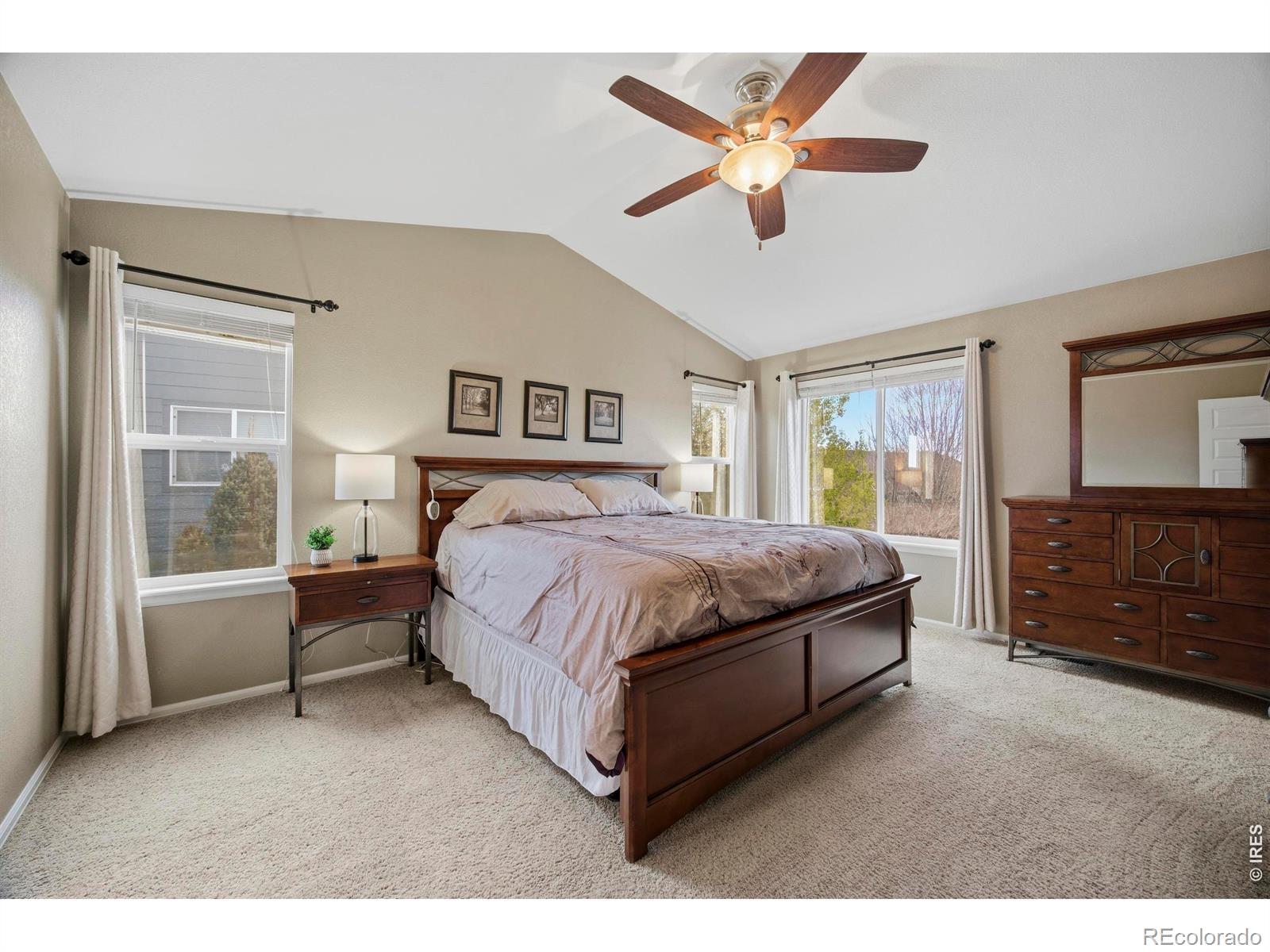 MLS Image #17 for 6528  richland avenue,timnath, Colorado