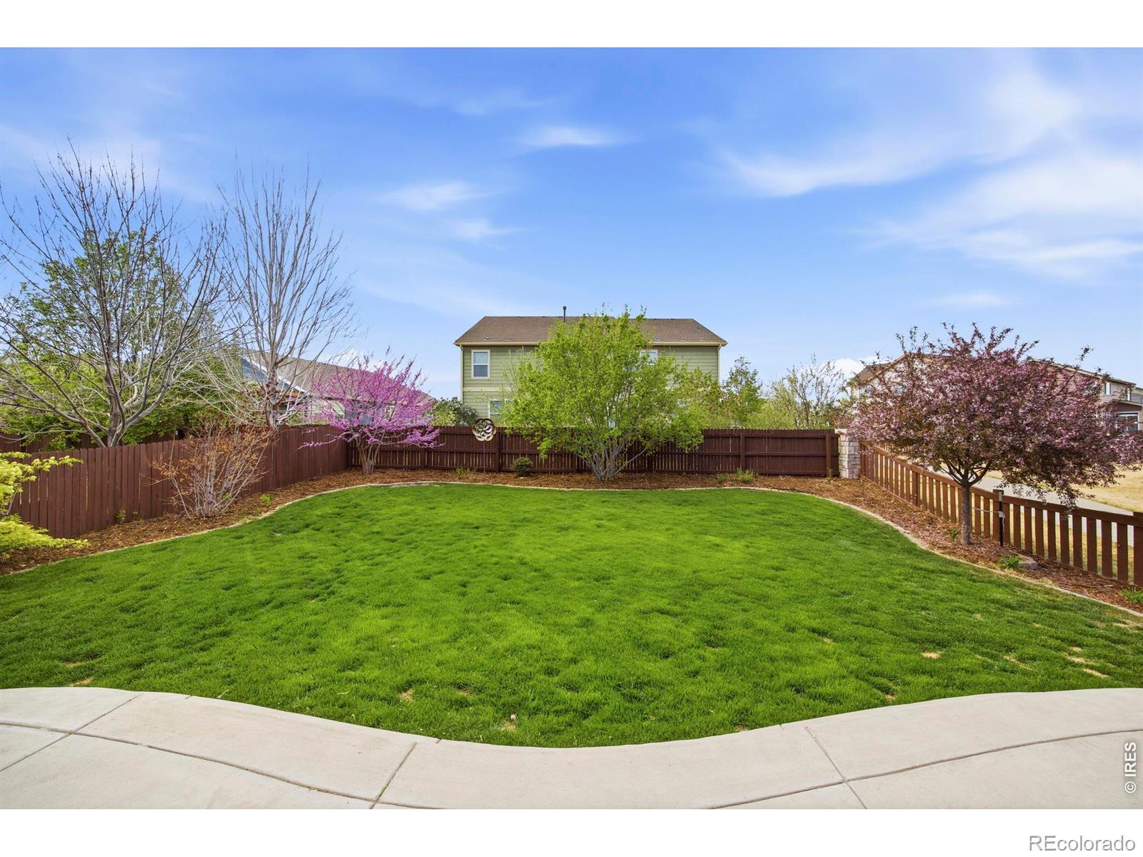 MLS Image #27 for 6528  richland avenue,timnath, Colorado