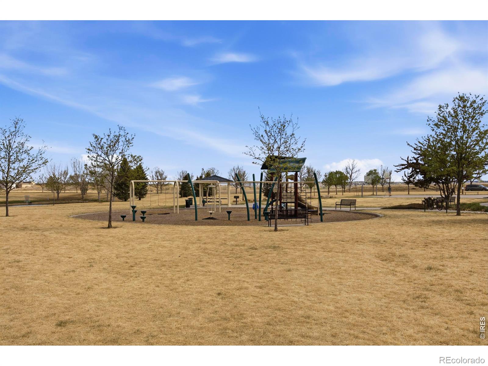 MLS Image #38 for 6528  richland avenue,timnath, Colorado