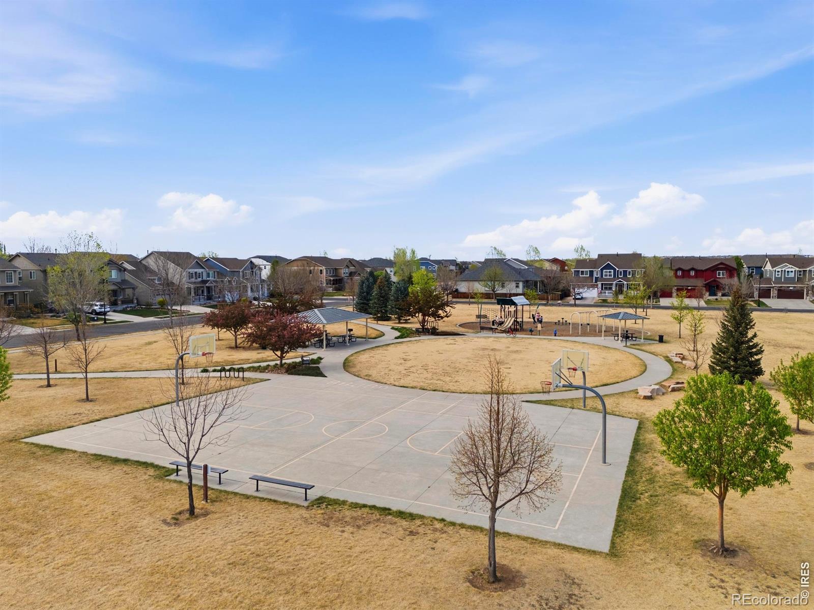 MLS Image #40 for 6528  richland avenue,timnath, Colorado
