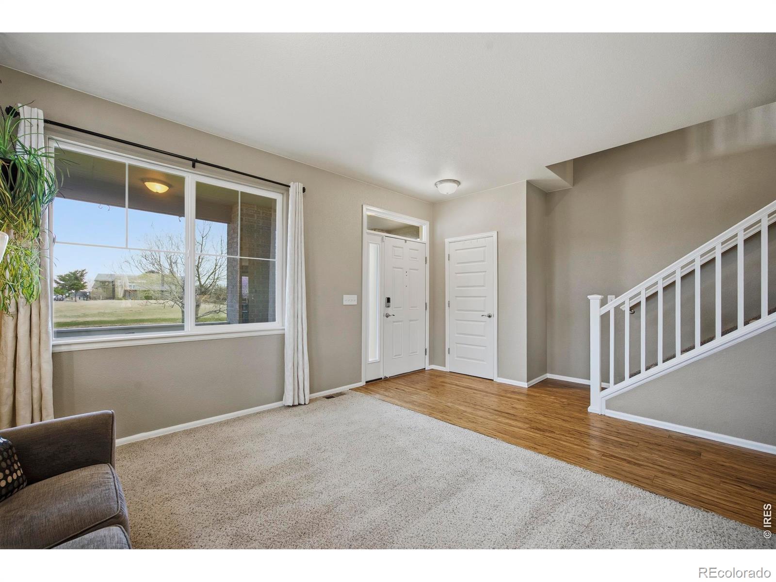 MLS Image #5 for 6528  richland avenue,timnath, Colorado