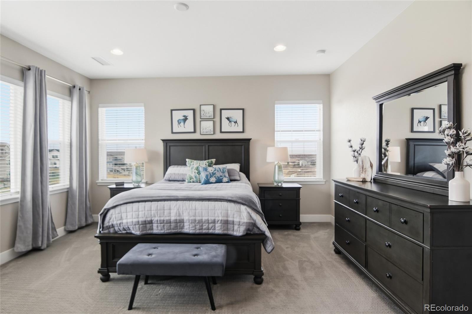 MLS Image #20 for 6751  golden sill court,castle pines, Colorado