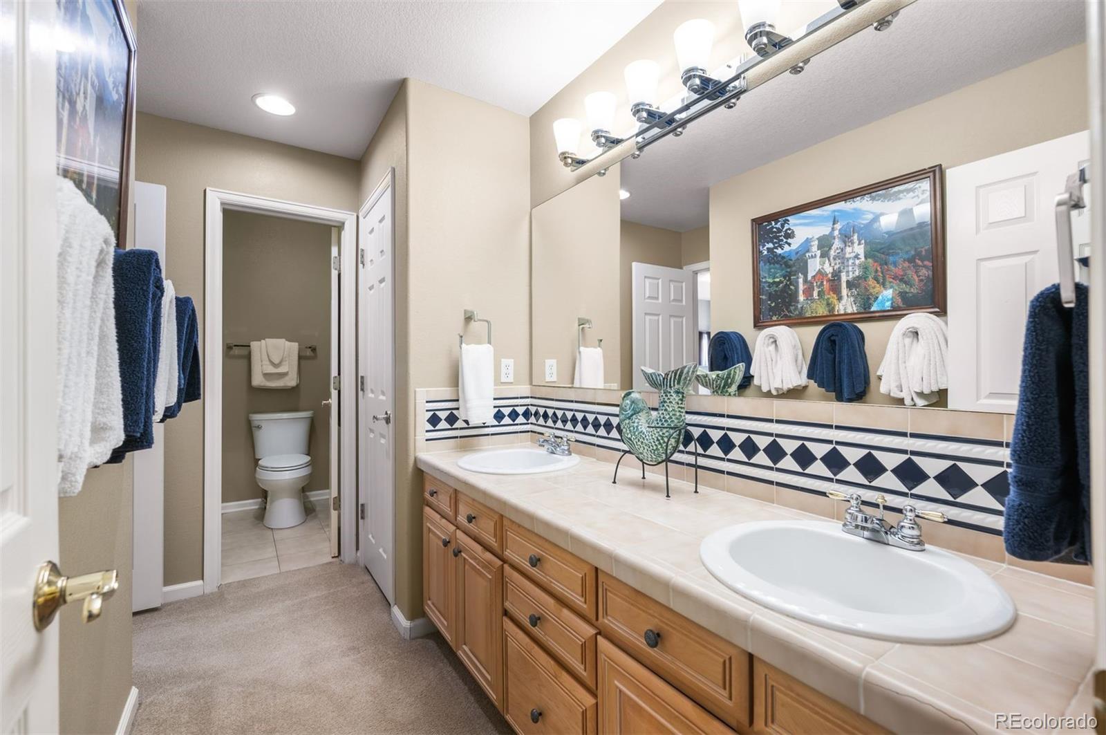 MLS Image #34 for 15408 e crestline place,centennial, Colorado