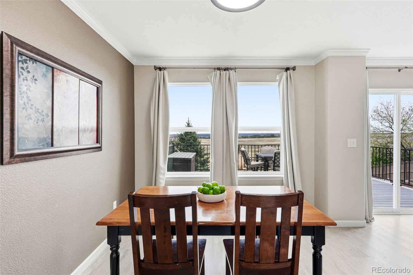 MLS Image #13 for 908  crenshaw street,castle rock, Colorado