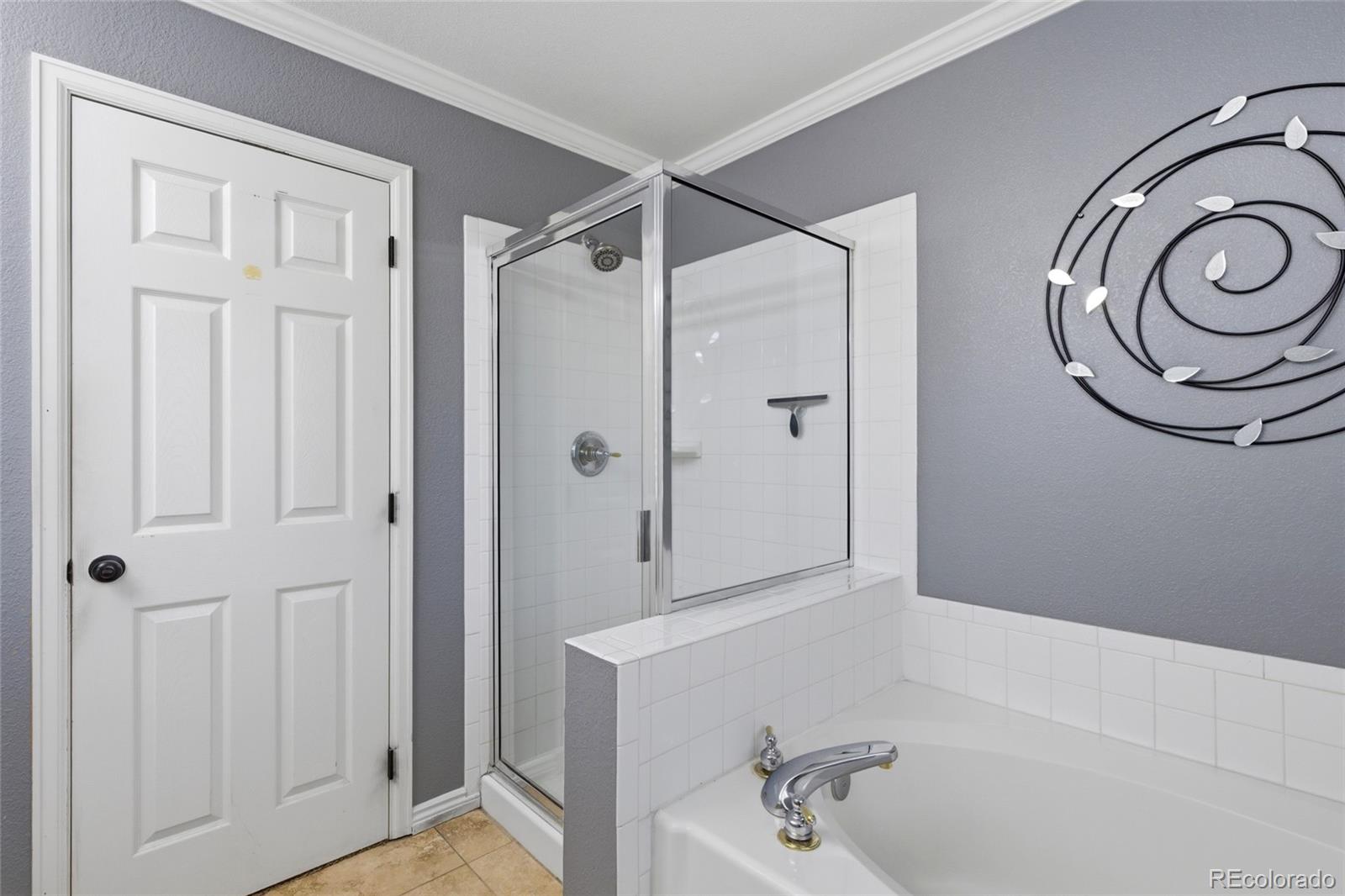 MLS Image #19 for 908  crenshaw street,castle rock, Colorado