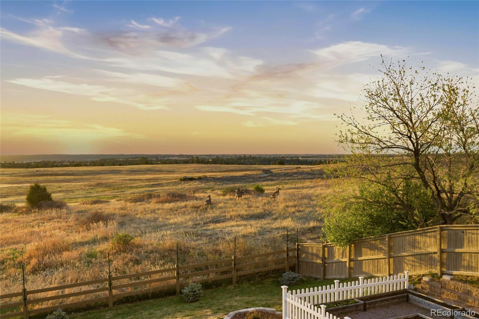 MLS Image #33 for 908  crenshaw street,castle rock, Colorado