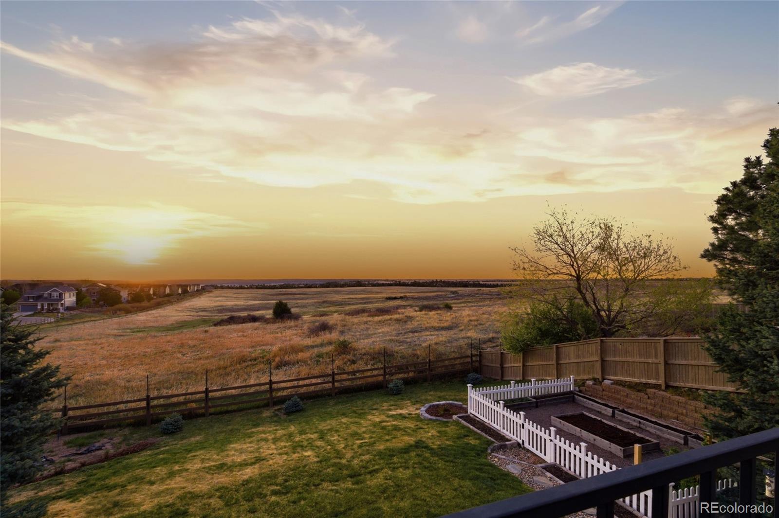 MLS Image #4 for 908  crenshaw street,castle rock, Colorado