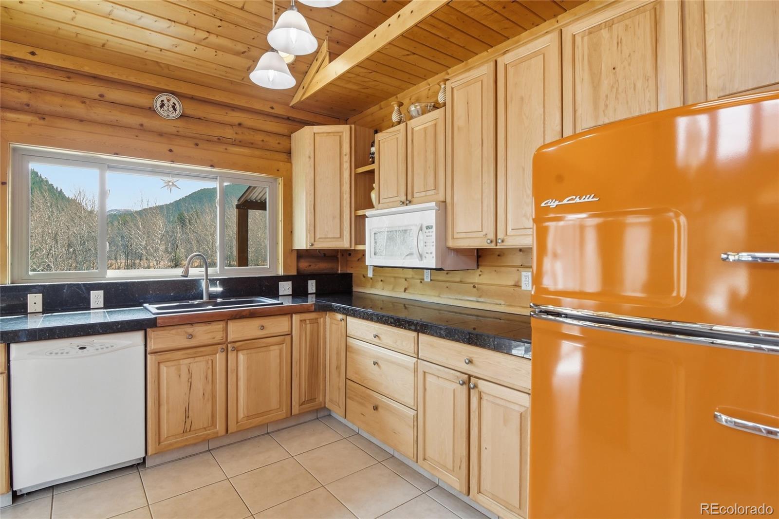 MLS Image #10 for 188 e clear creek drive,empire, Colorado