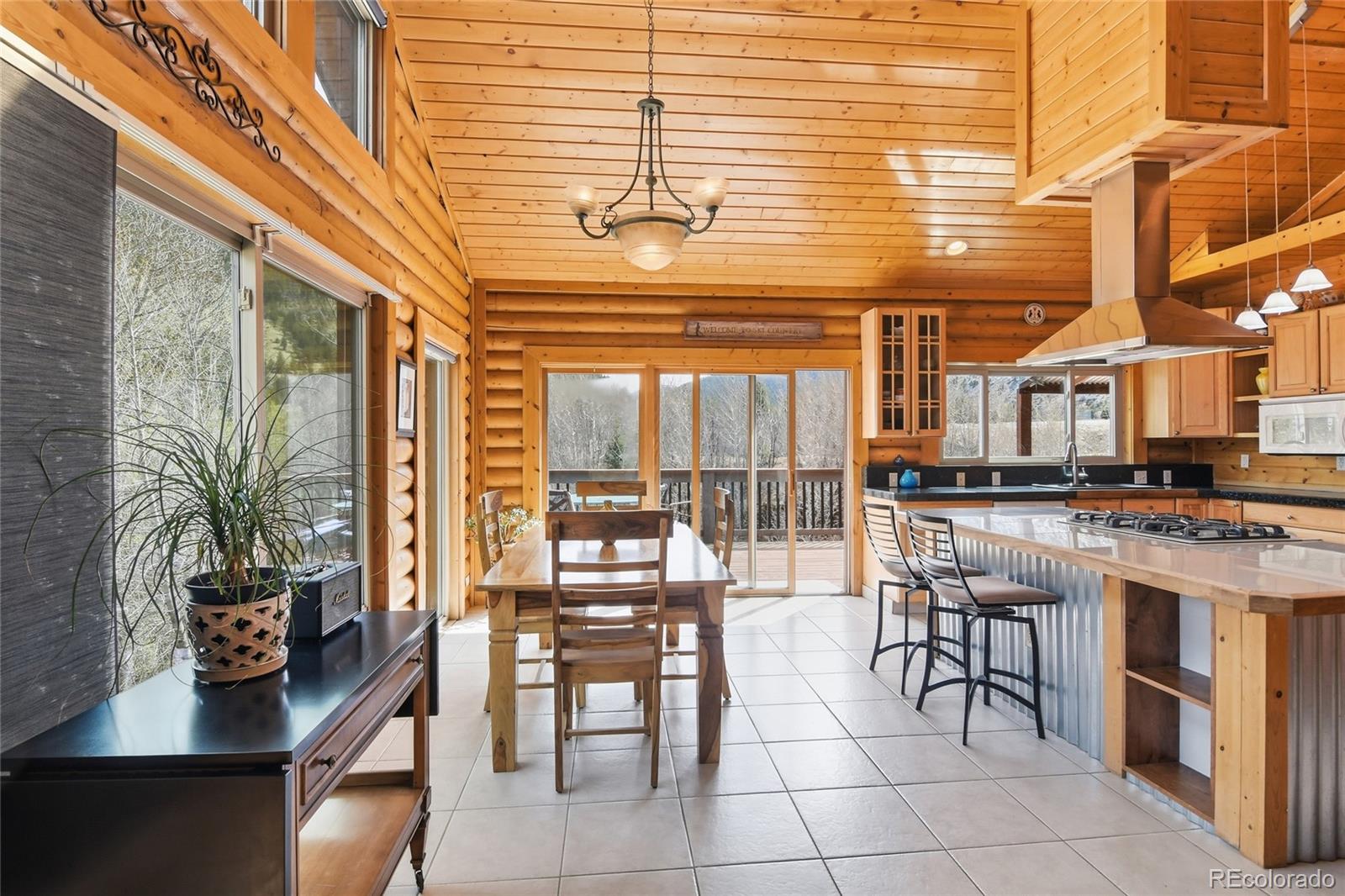 MLS Image #3 for 188 e clear creek drive,empire, Colorado