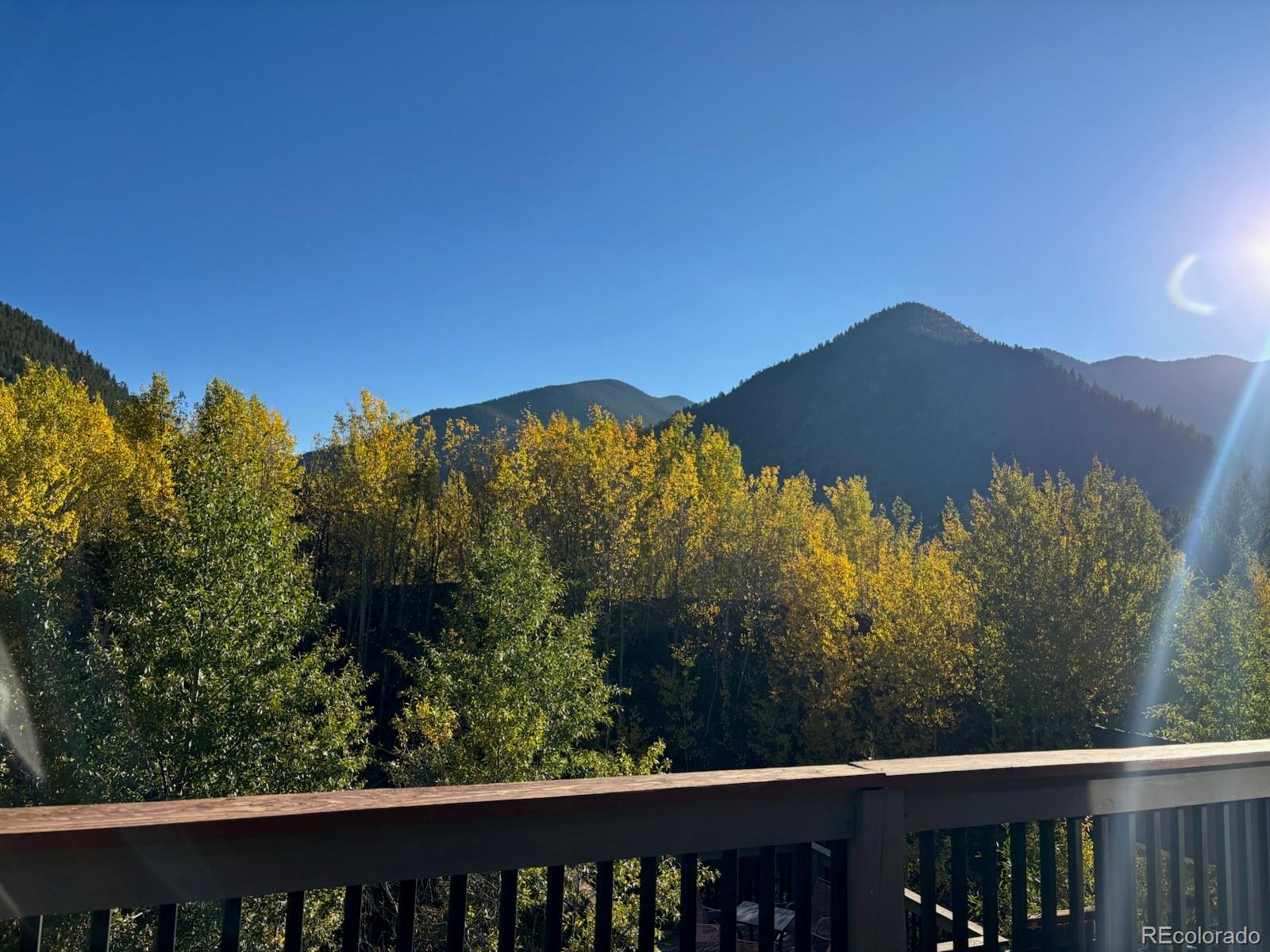 MLS Image #4 for 188 e clear creek drive,empire, Colorado