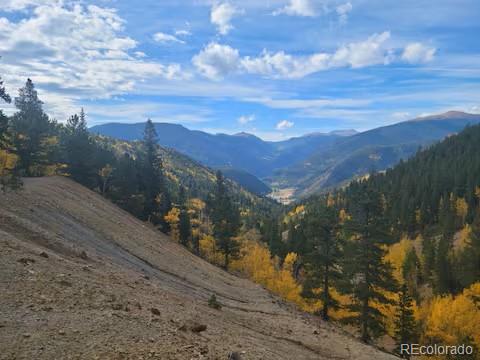 MLS Image #45 for 188 e clear creek drive,empire, Colorado
