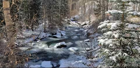 MLS Image #48 for 188 e clear creek drive,empire, Colorado