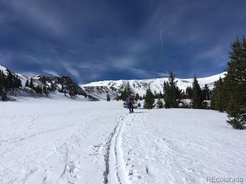 MLS Image #49 for 188 e clear creek drive,empire, Colorado
