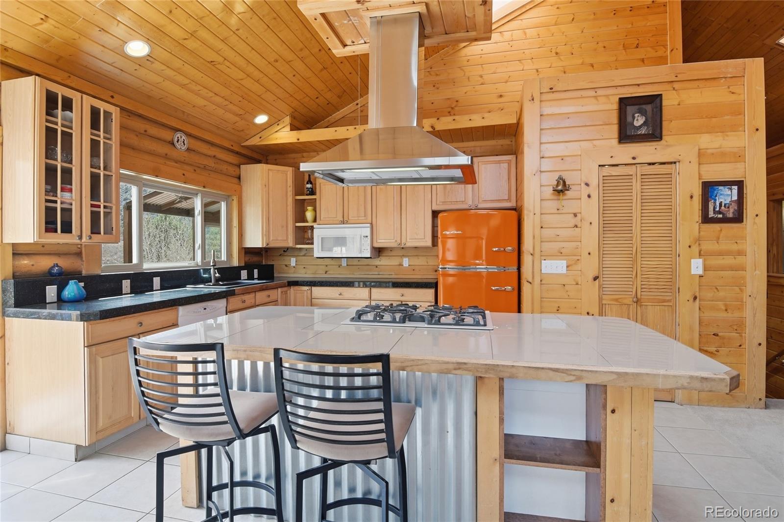 MLS Image #9 for 188 e clear creek drive,empire, Colorado