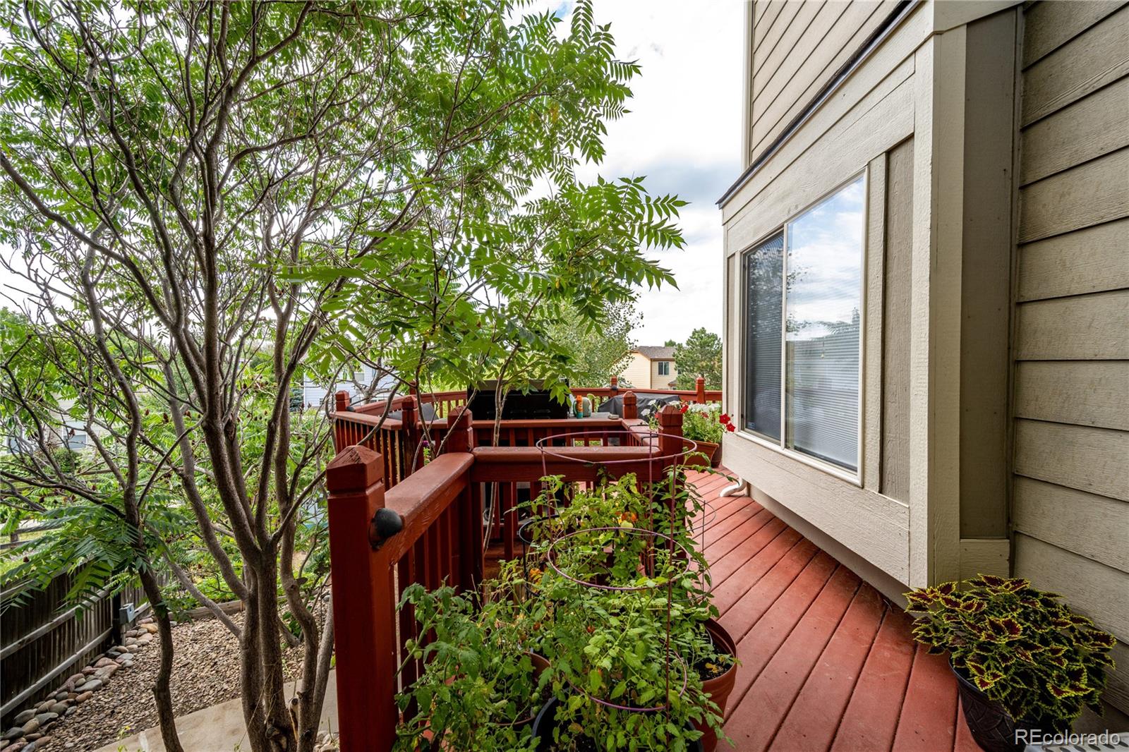 MLS Image #43 for 6499  grass court,parker, Colorado