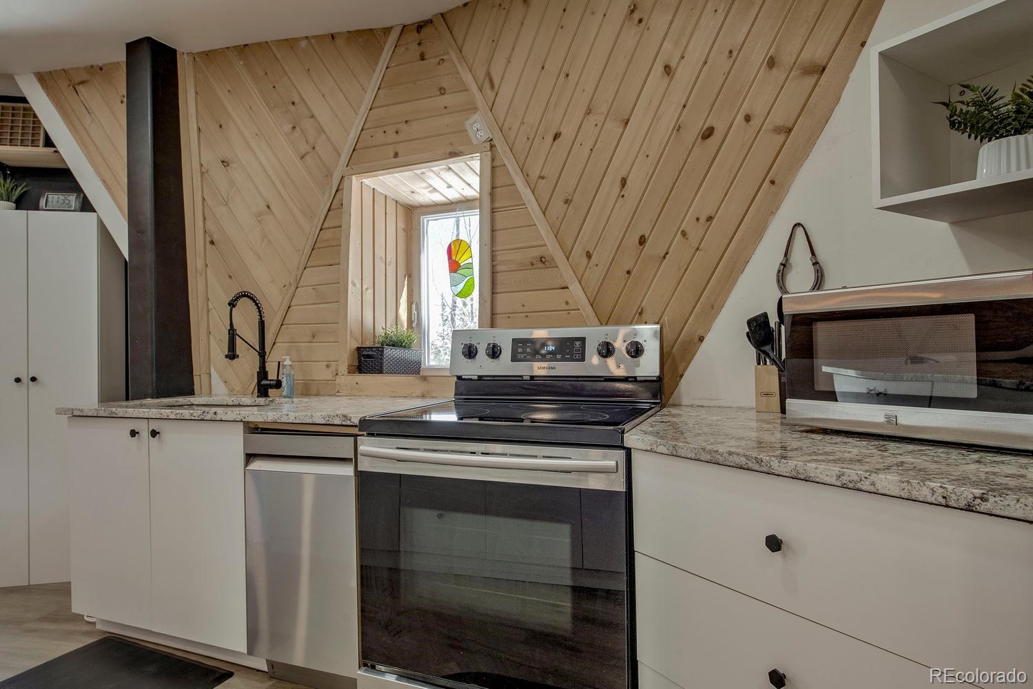 MLS Image #15 for 472  prunes place,fairplay, Colorado