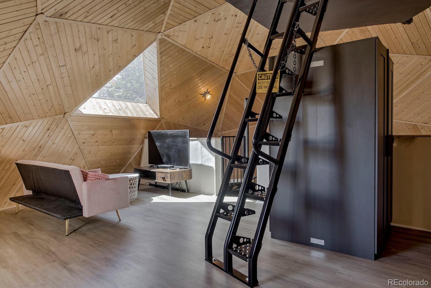 MLS Image #21 for 472  prunes place,fairplay, Colorado