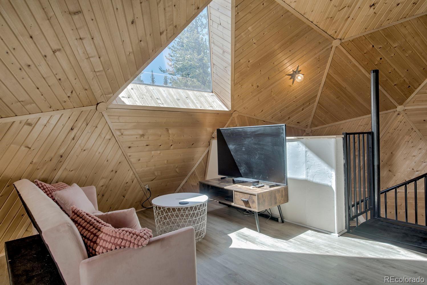 MLS Image #22 for 472  prunes place,fairplay, Colorado