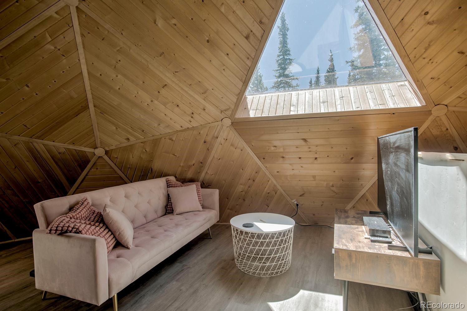 MLS Image #23 for 472  prunes place,fairplay, Colorado