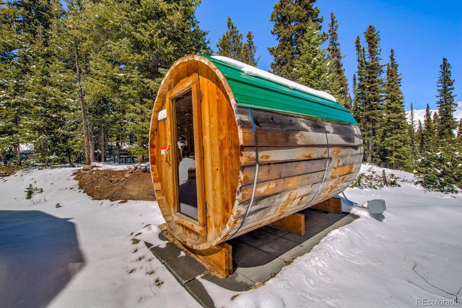 MLS Image #33 for 472  prunes place,fairplay, Colorado