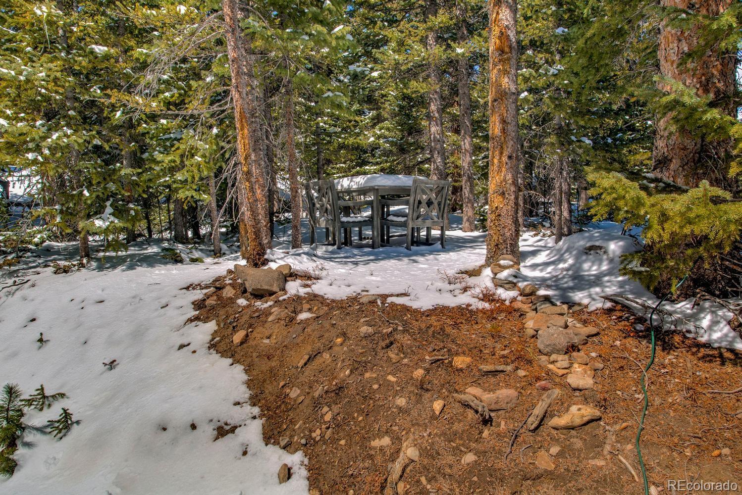 MLS Image #35 for 472  prunes place,fairplay, Colorado