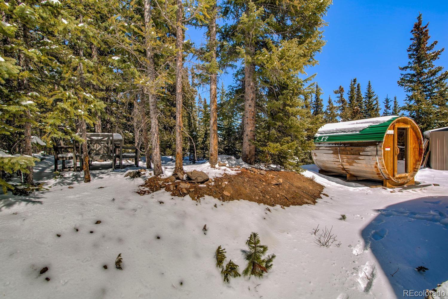 MLS Image #36 for 472  prunes place,fairplay, Colorado