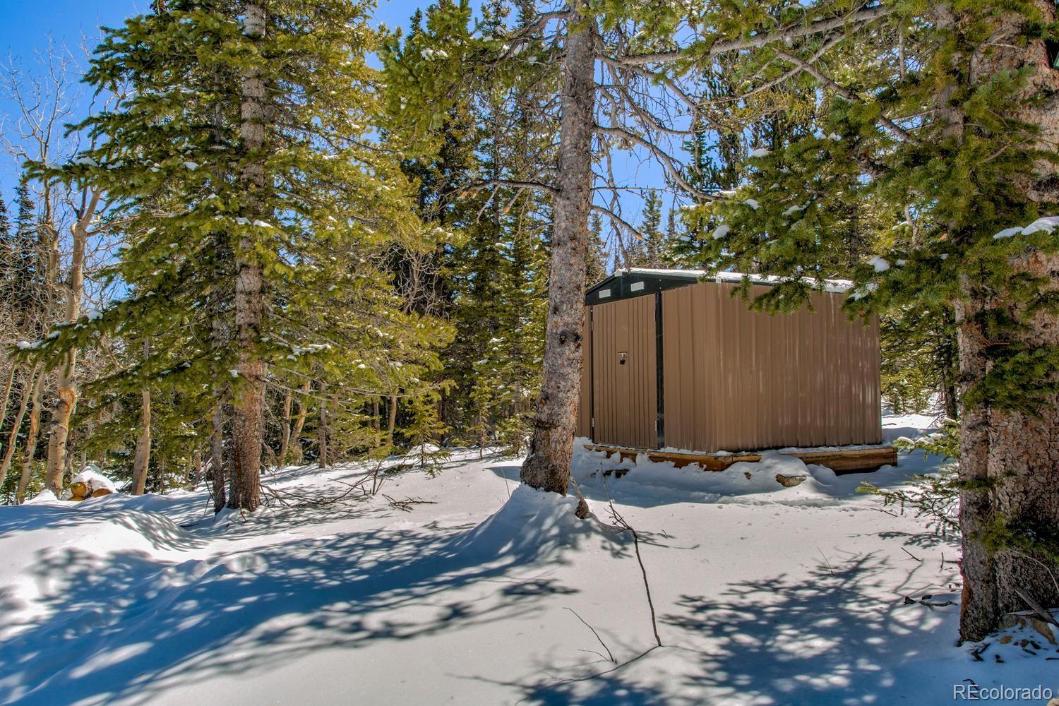 MLS Image #37 for 472  prunes place,fairplay, Colorado