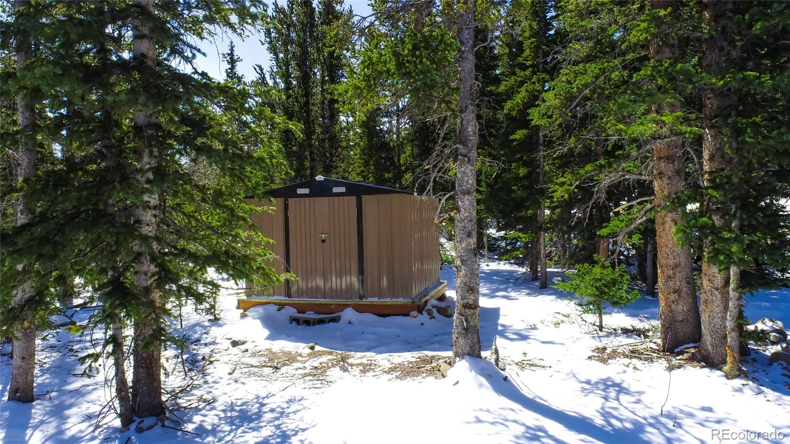 MLS Image #38 for 472  prunes place,fairplay, Colorado