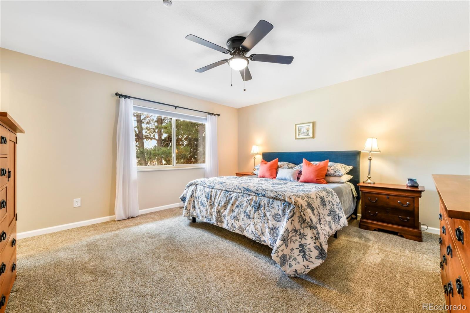 MLS Image #10 for 3826  nuevo drive,colorado springs, Colorado