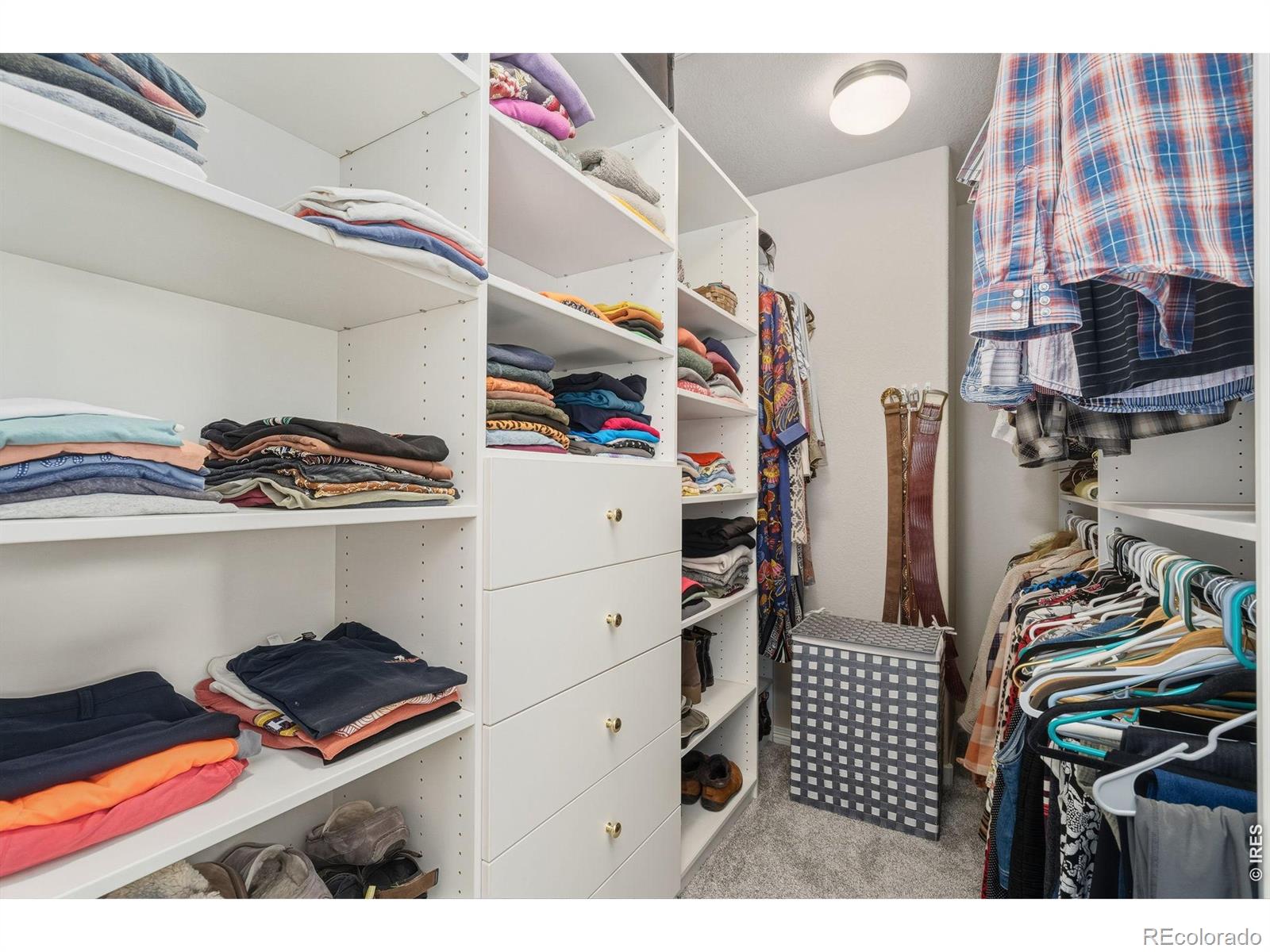 MLS Image #20 for 5903  twin wash square,fort collins, Colorado