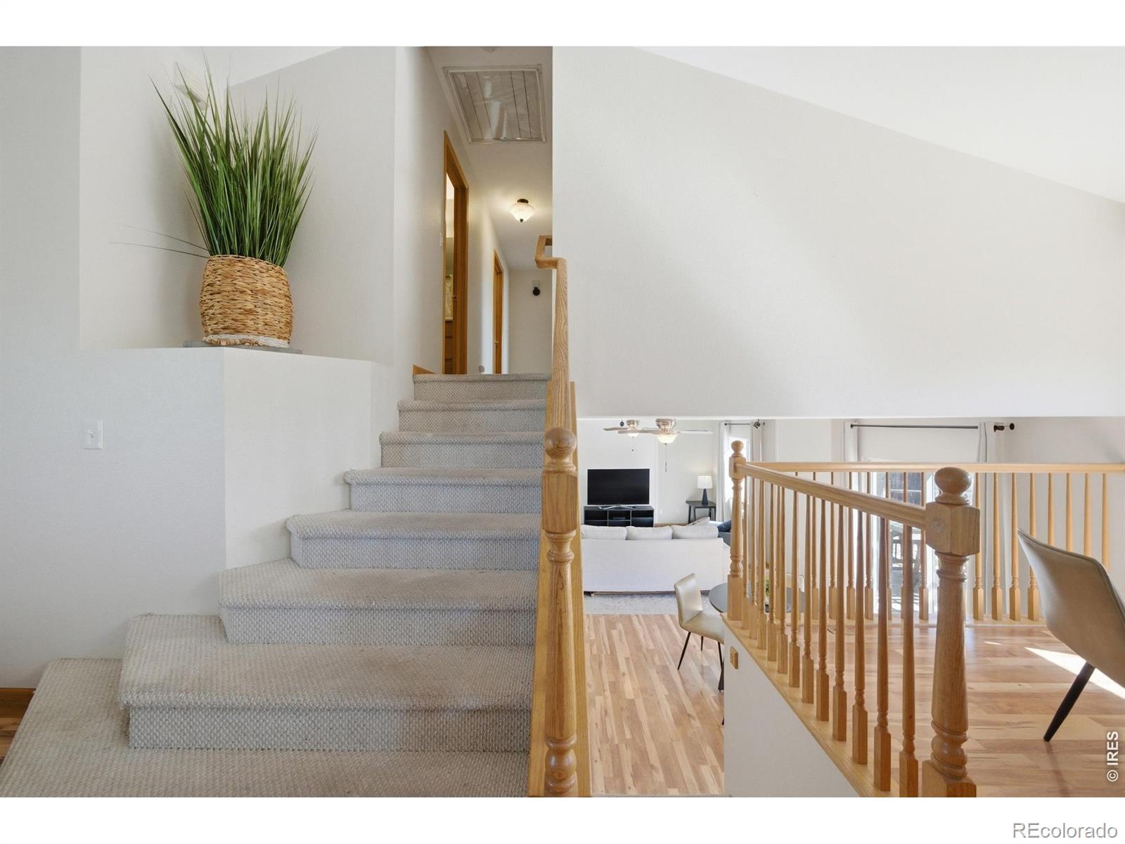 MLS Image #14 for 1324  sugarpine street,fort collins, Colorado