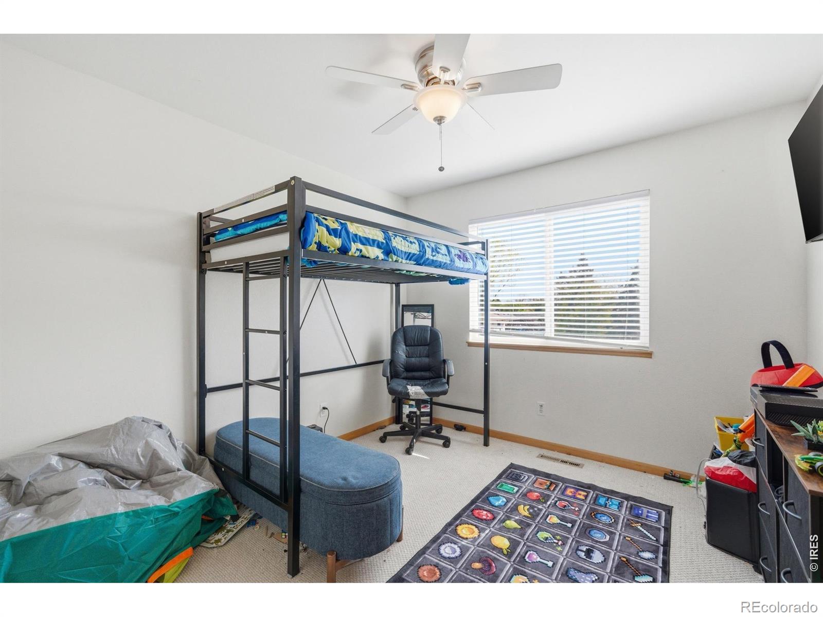 MLS Image #19 for 1324  sugarpine street,fort collins, Colorado