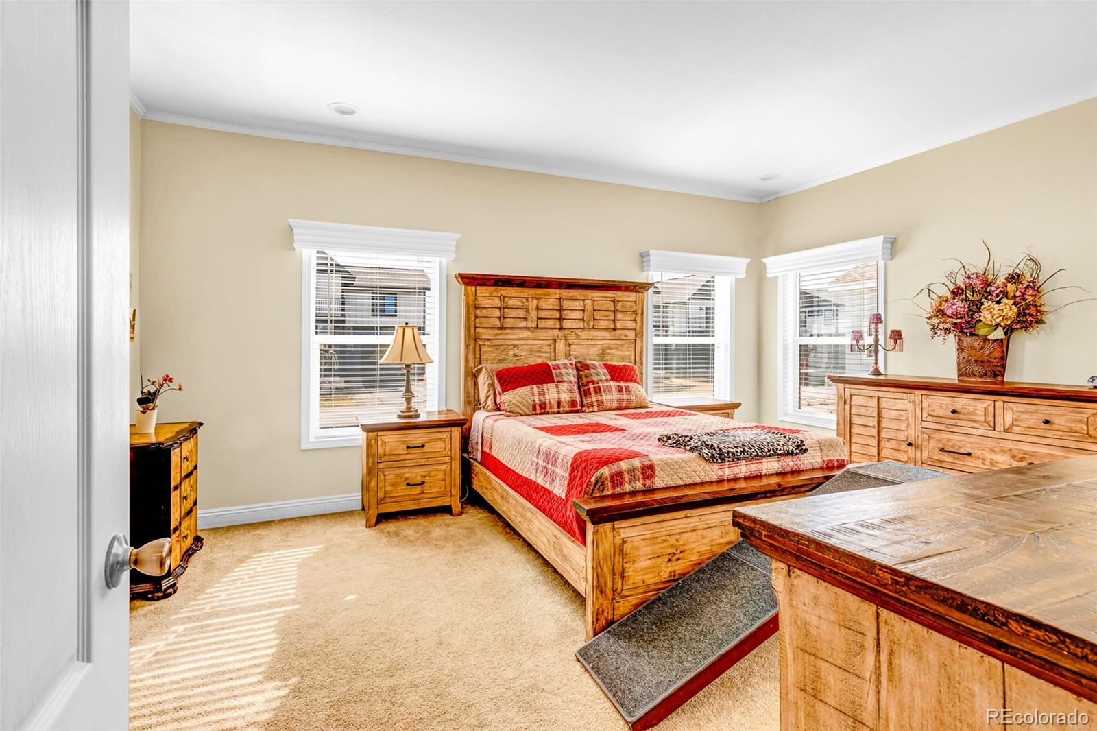 MLS Image #24 for 108a  sun rock drive,fairplay, Colorado