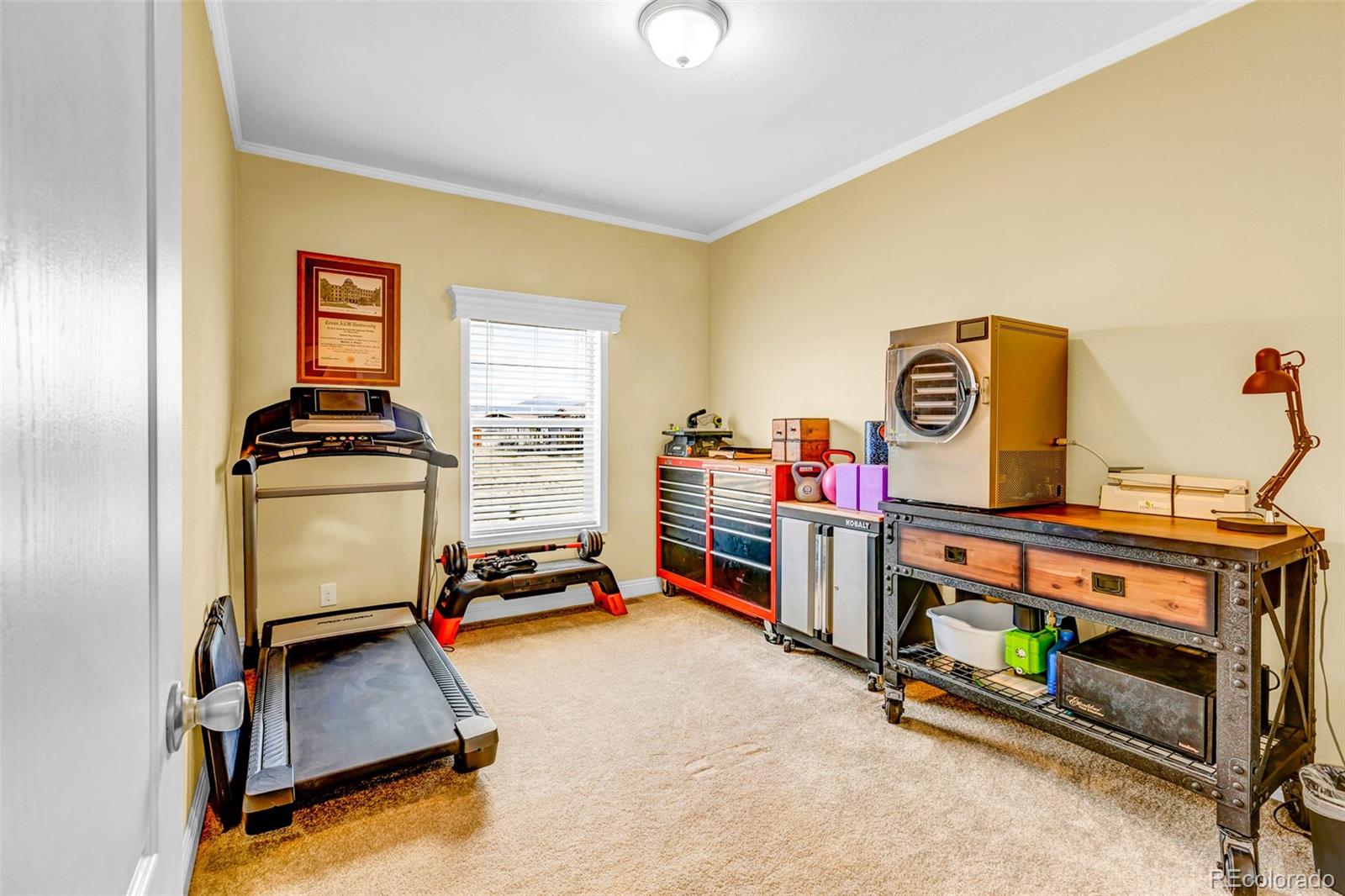 MLS Image #38 for 108a  sun rock drive,fairplay, Colorado