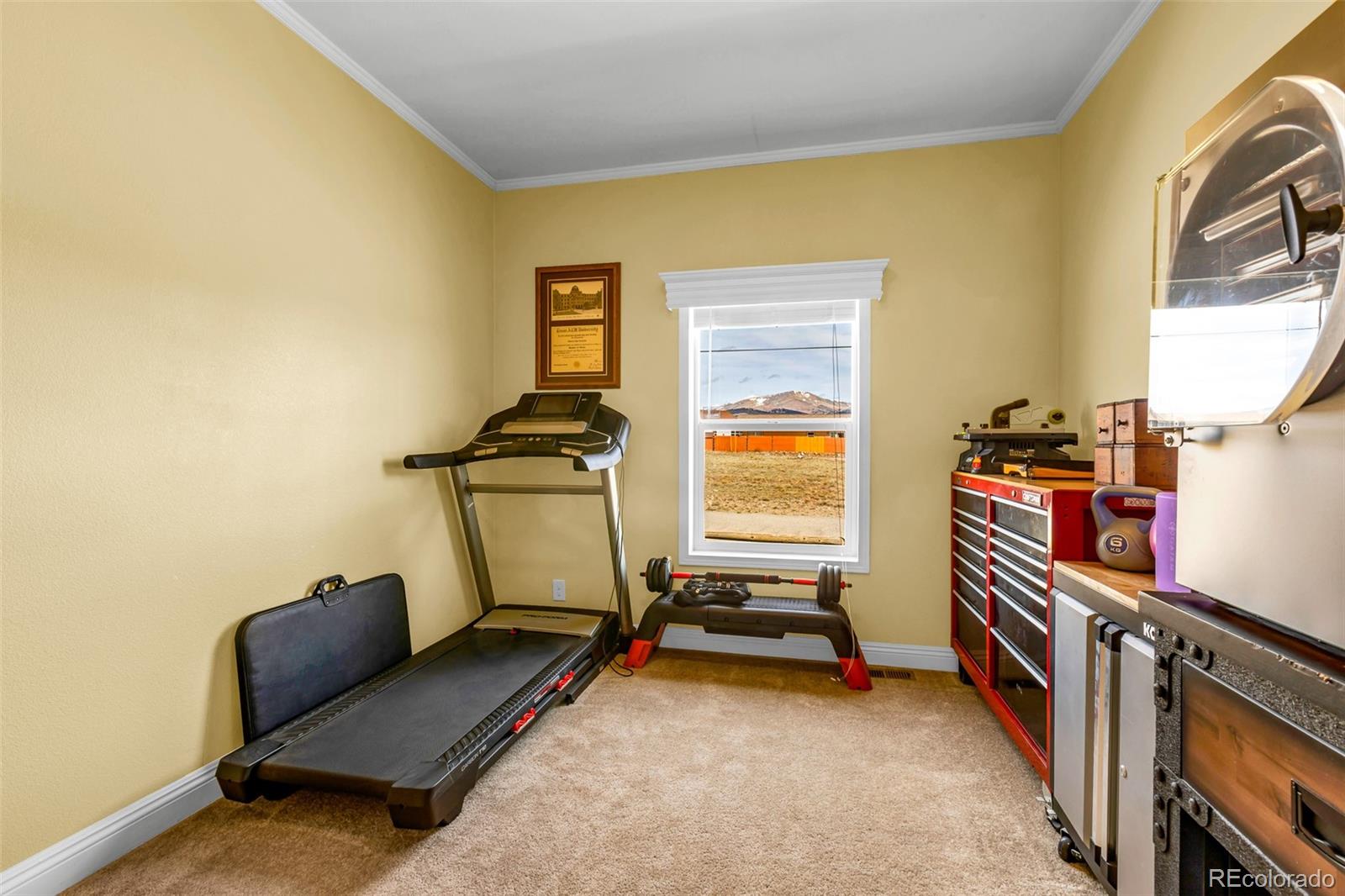 MLS Image #40 for 108a  sun rock drive,fairplay, Colorado