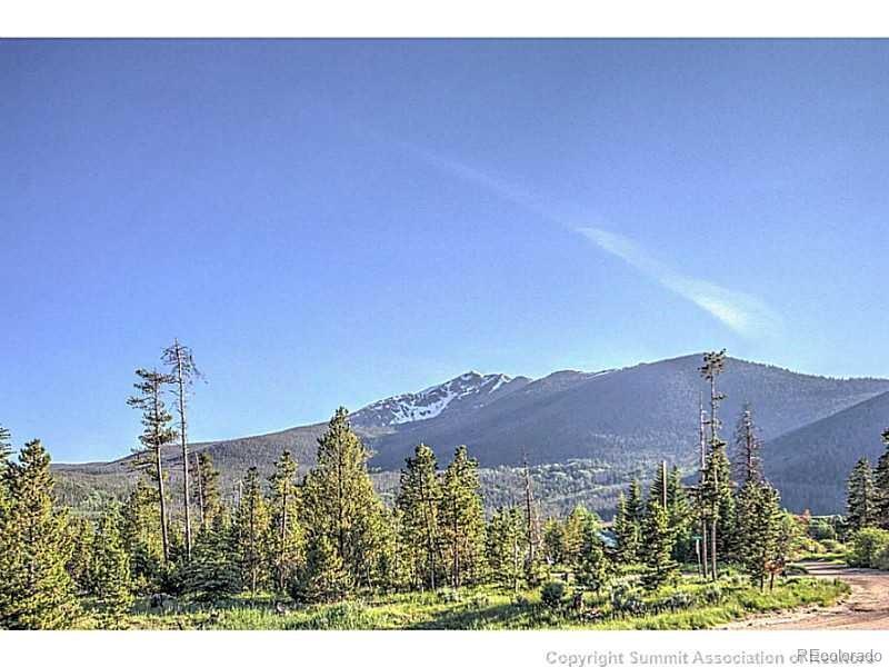 MLS Image #40 for 200  granite street,frisco, Colorado