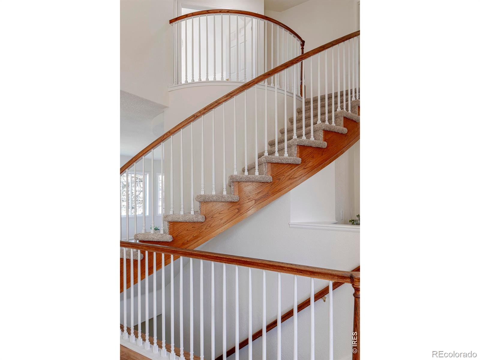 MLS Image #19 for 6836  idylwild court,boulder, Colorado