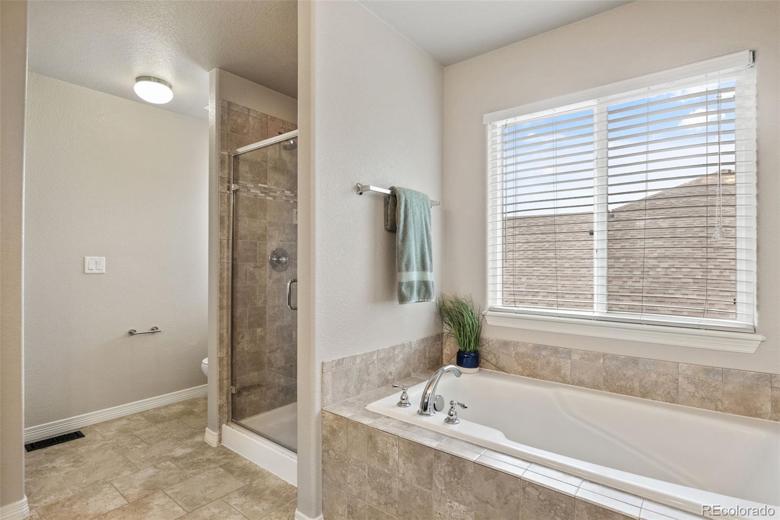 MLS Image #12 for 12734  mt harvard drive,peyton, Colorado
