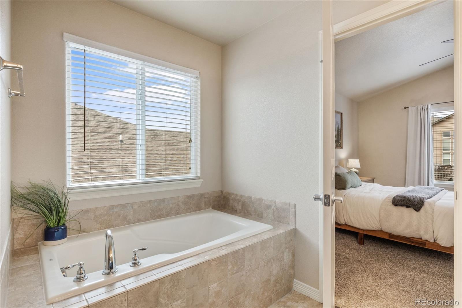 MLS Image #13 for 12734  mt harvard drive,peyton, Colorado