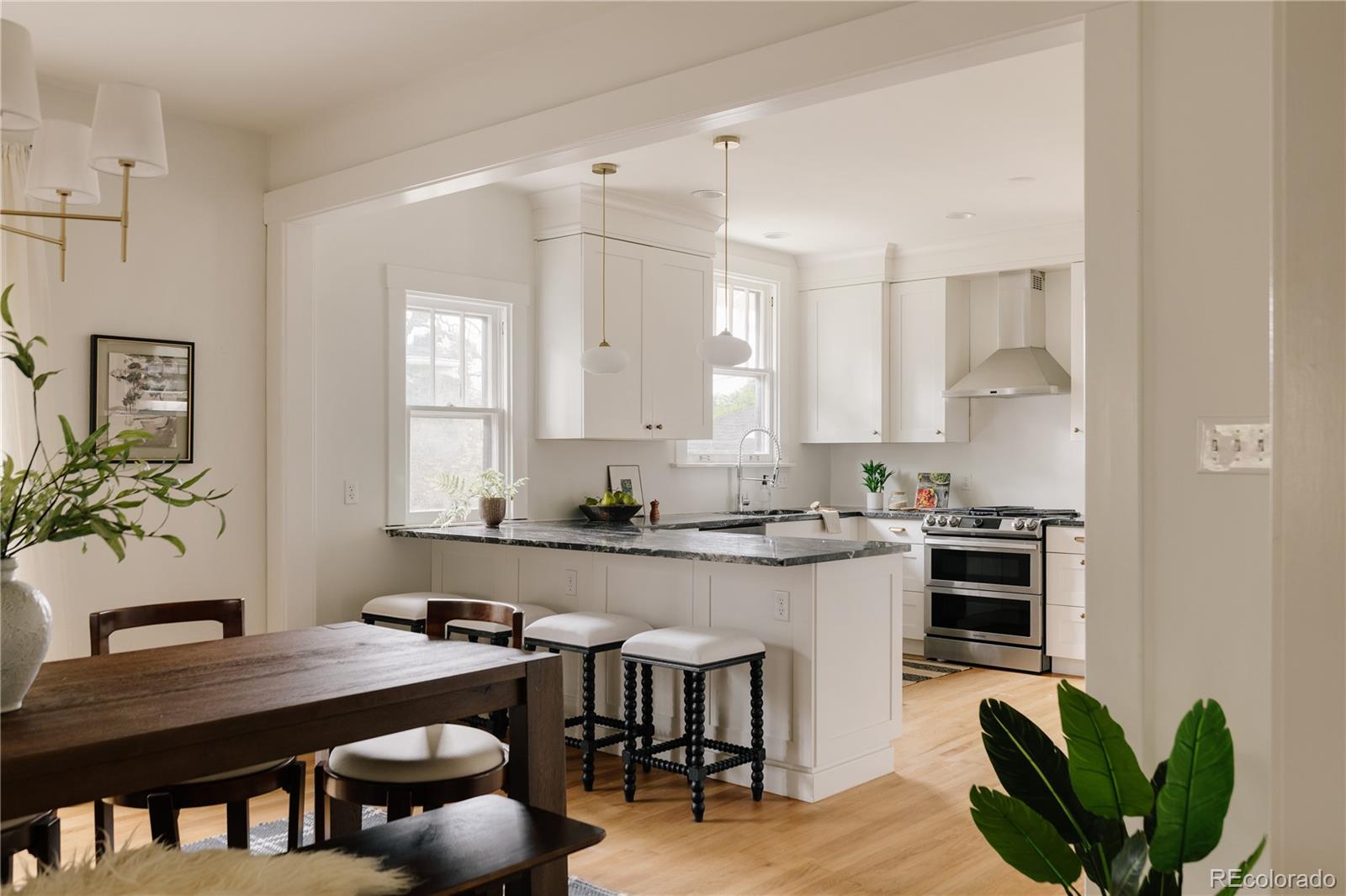 MLS Image #0 for 721  elizabeth street,denver, Colorado