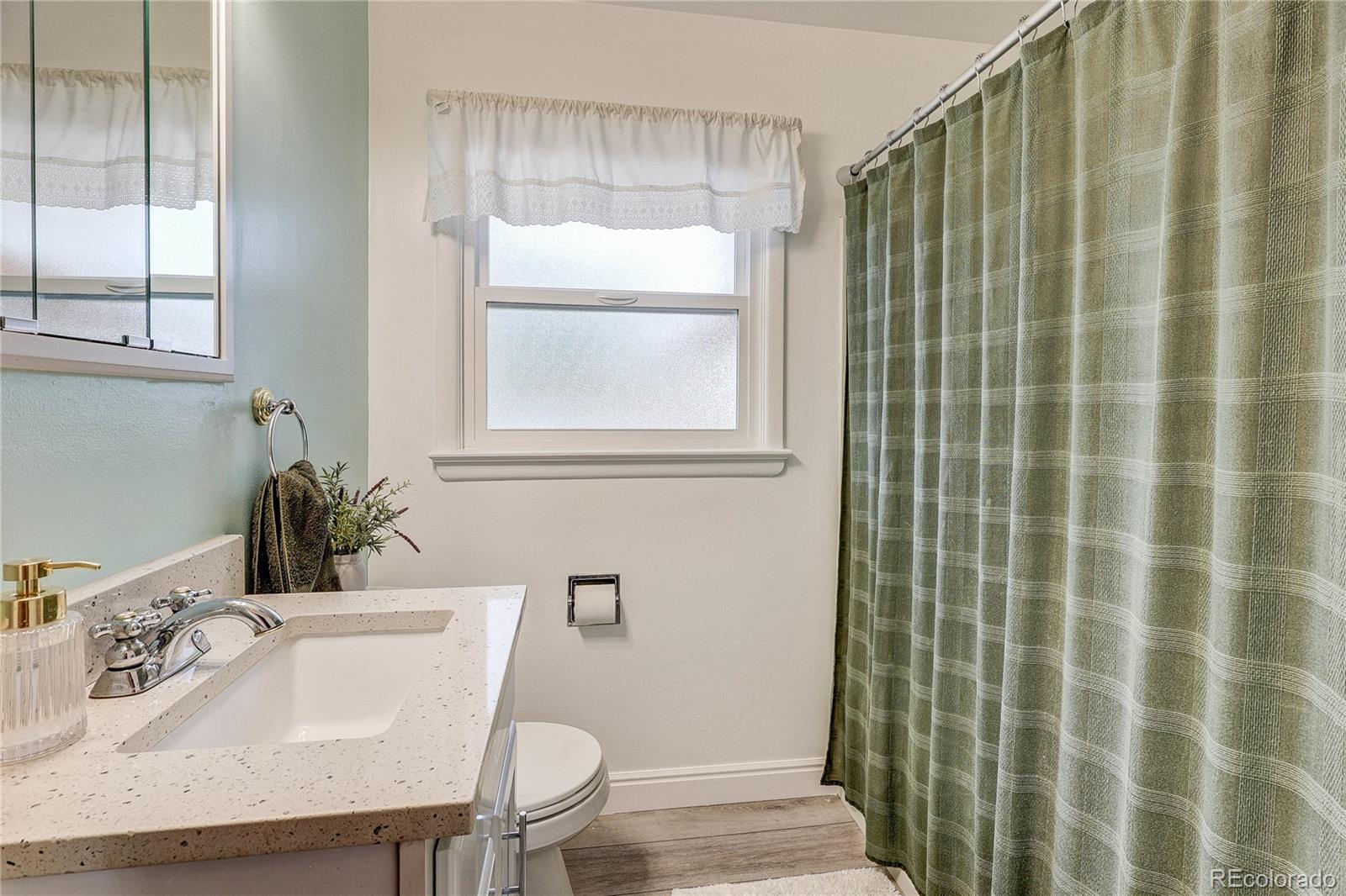 MLS Image #21 for 1521 s patton court,denver, Colorado