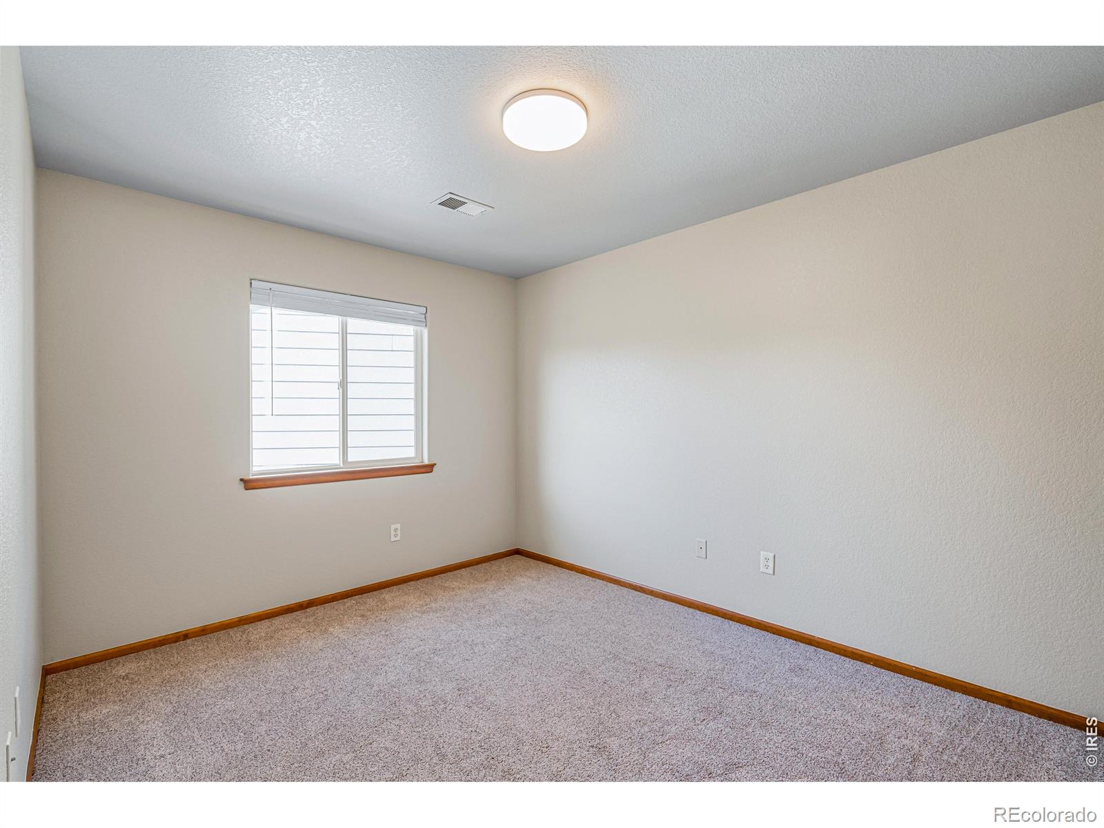MLS Image #13 for 1018  winona circle,loveland, Colorado