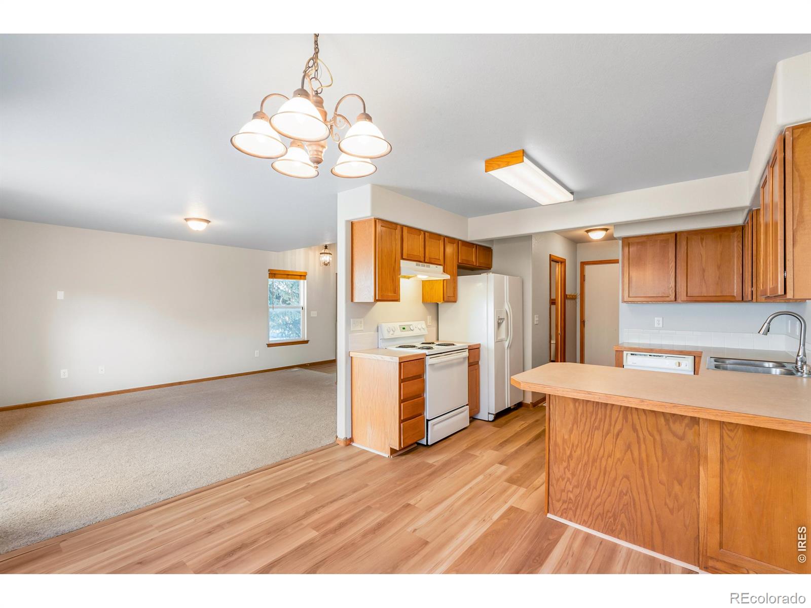 MLS Image #5 for 1018  winona circle,loveland, Colorado