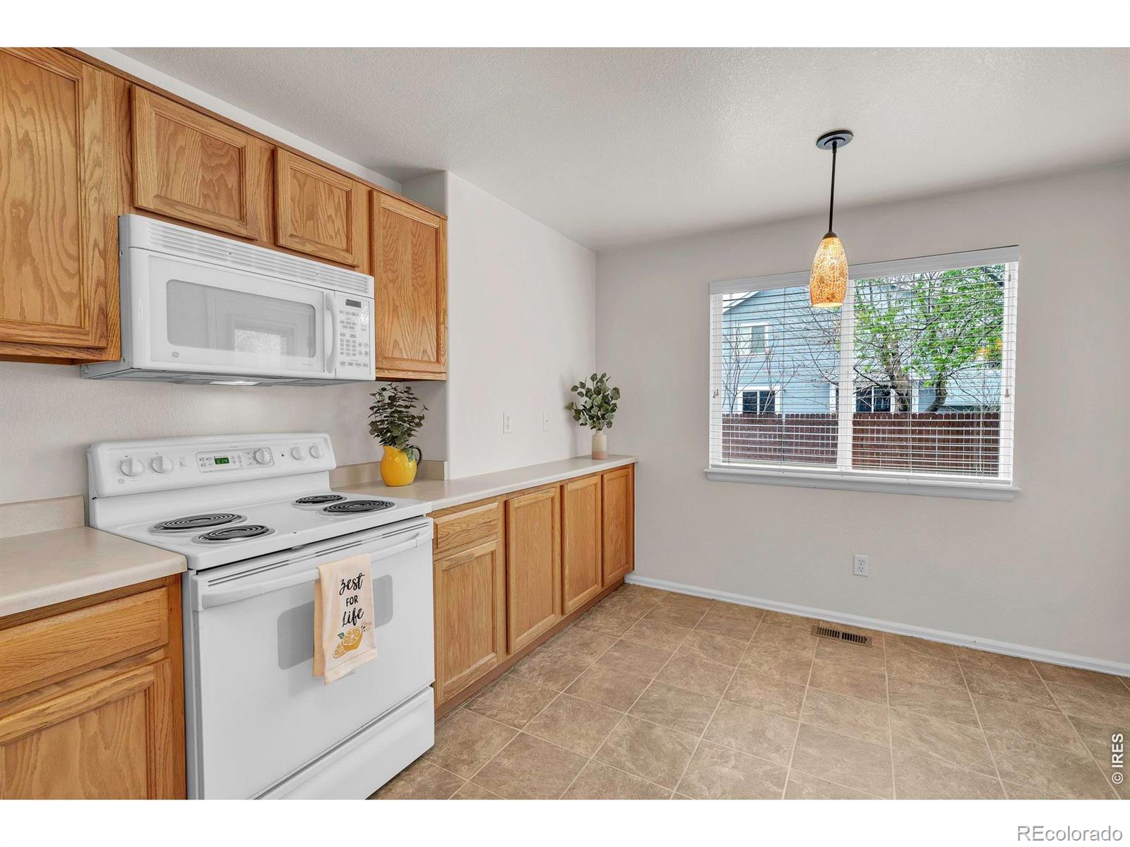 MLS Image #14 for 1365  flannagan court,erie, Colorado