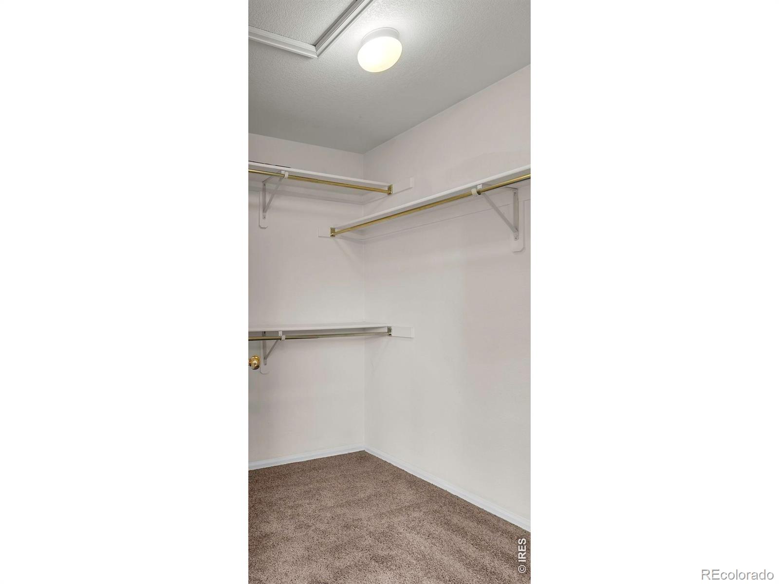 MLS Image #27 for 1365  flannagan court,erie, Colorado