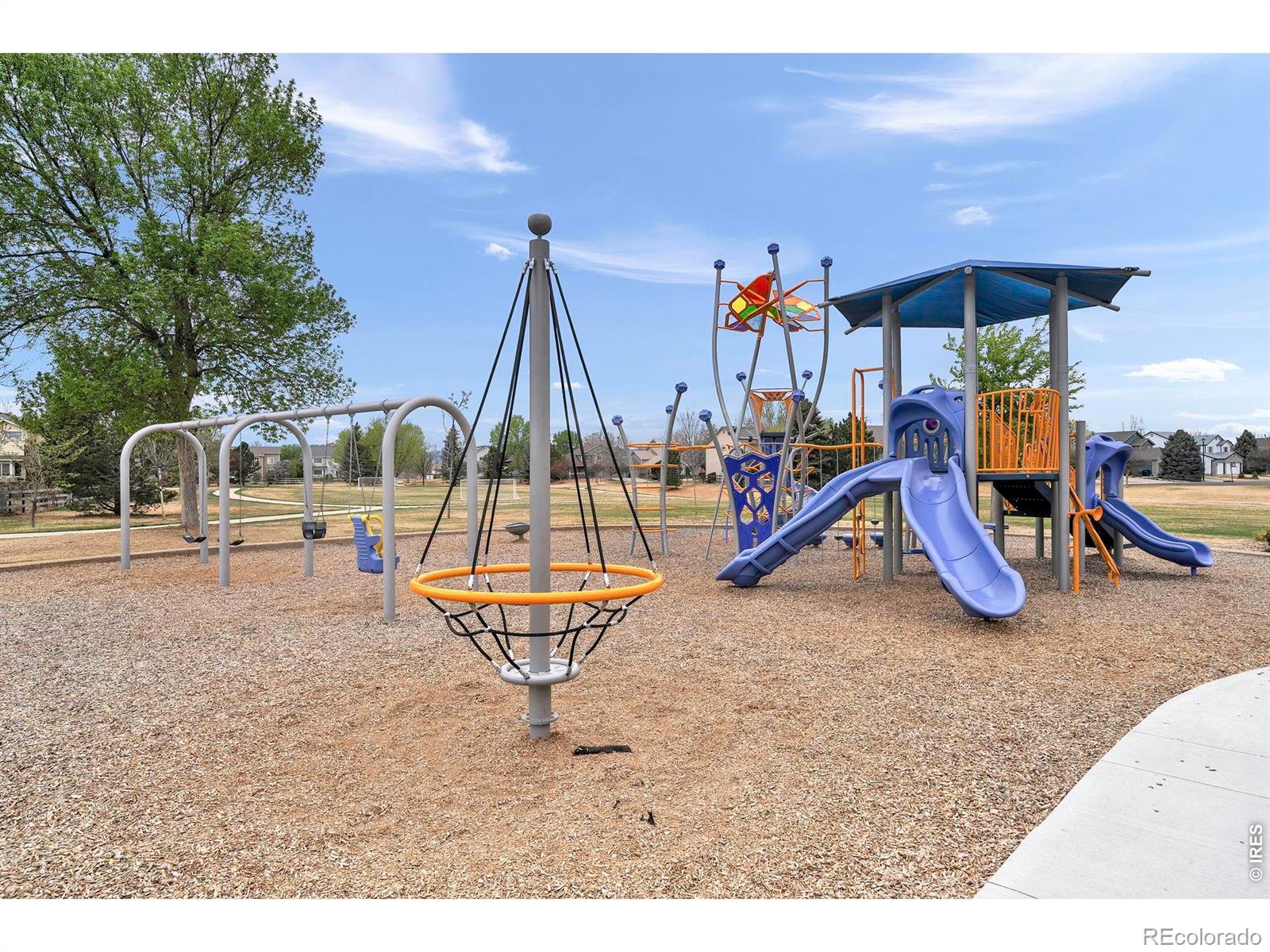 MLS Image #43 for 1365  flannagan court,erie, Colorado
