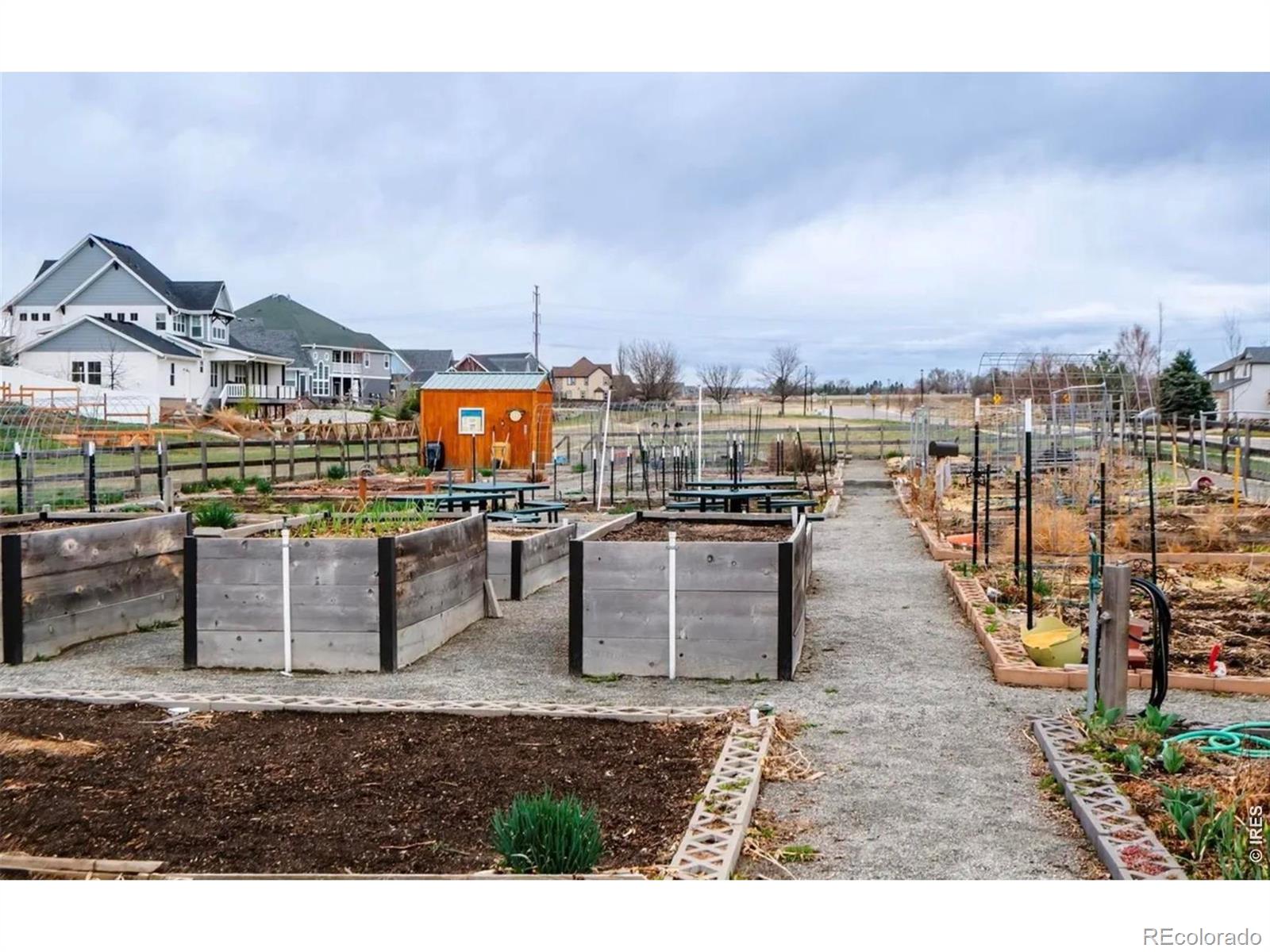 MLS Image #44 for 1365  flannagan court,erie, Colorado