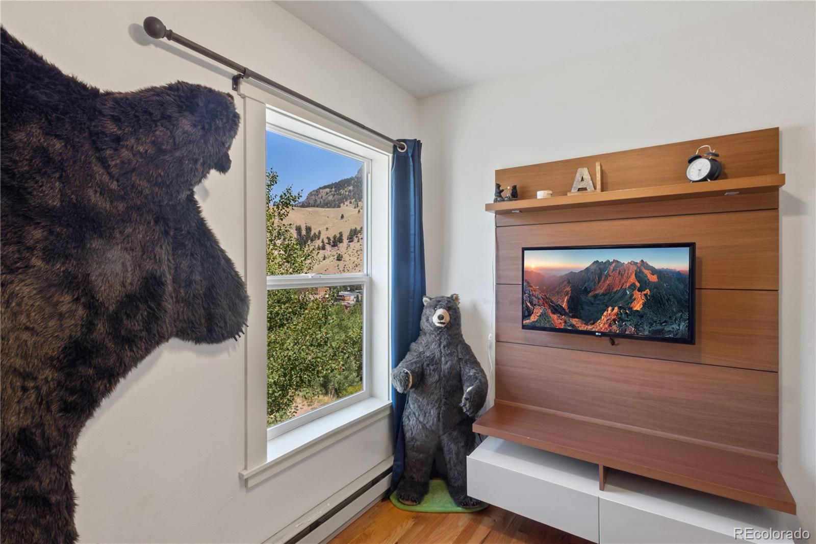 MLS Image #16 for 301 w 3rd street,creede, Colorado