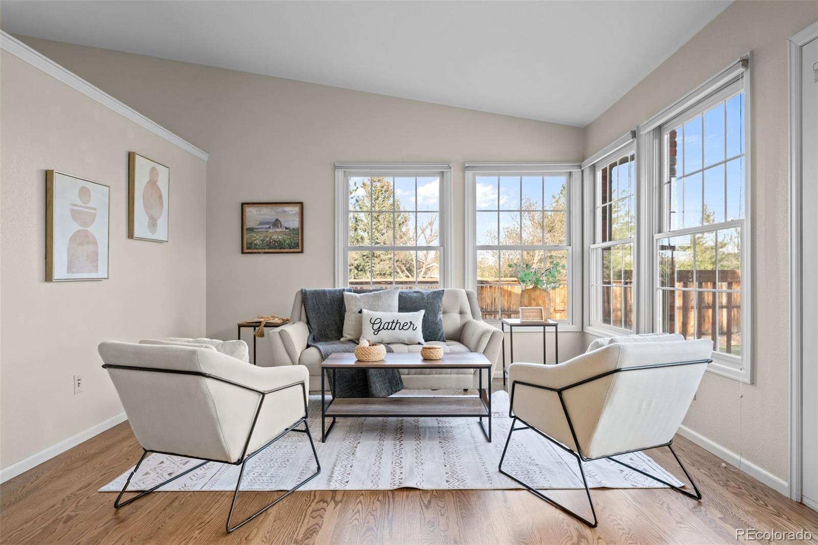 MLS Image #13 for 8802  greenwich street,highlands ranch, Colorado
