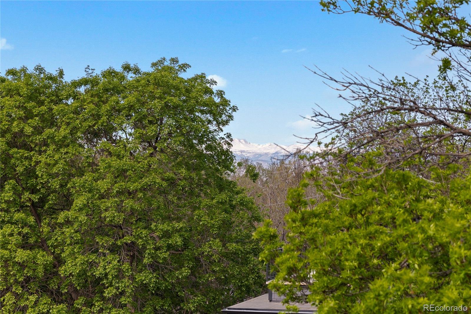 MLS Image #31 for 1090 s race street,denver, Colorado